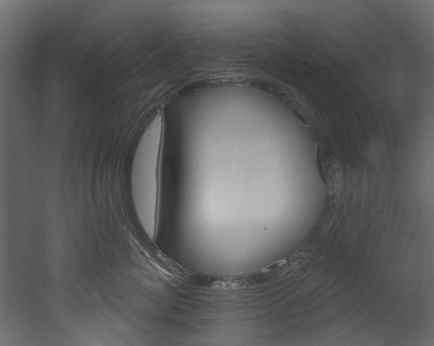 X0000052930764200507080826