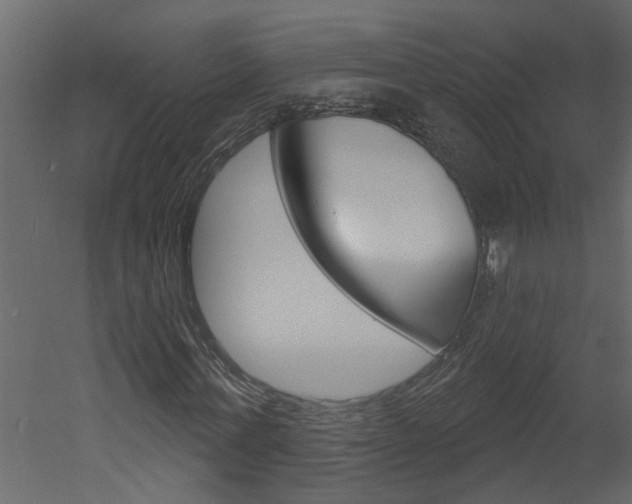 X0000052930771200507080826