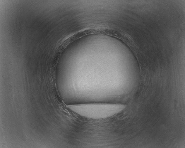 X0000052930773200507080826