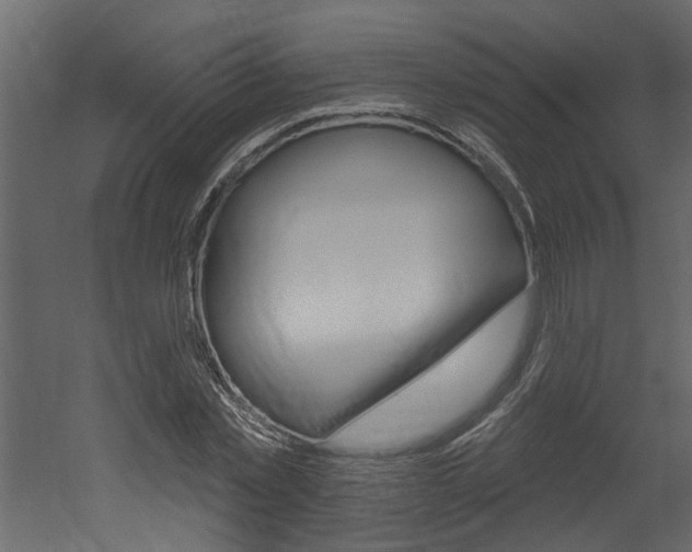 X0000052930781200507080826