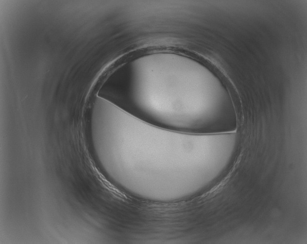 X0000052930783200507080826