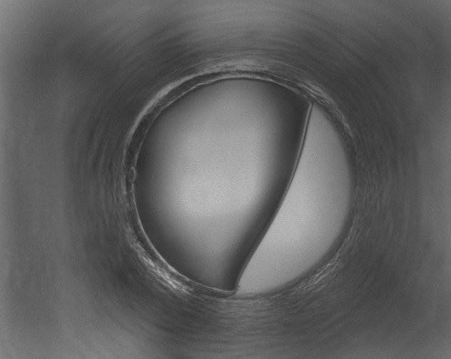 X0000052930784200507080825