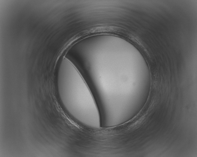 X0000052930786200507080825