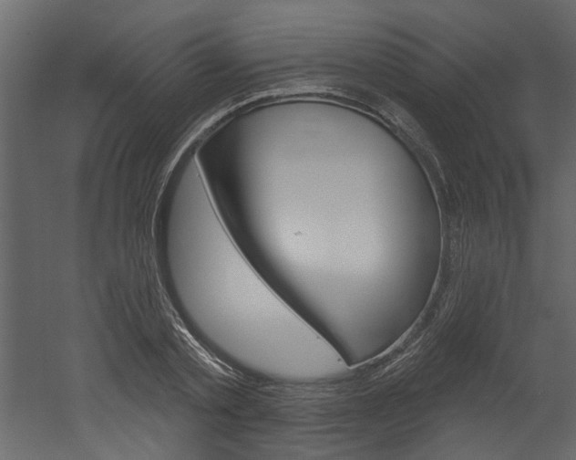 X0000052930789200507080825