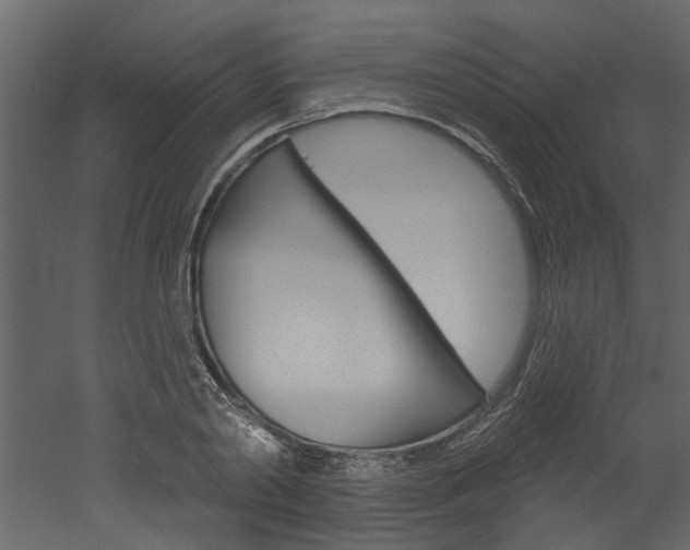 X0000052930790200507080825