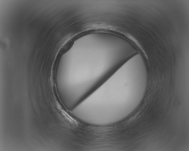 X0000052930791200507080825