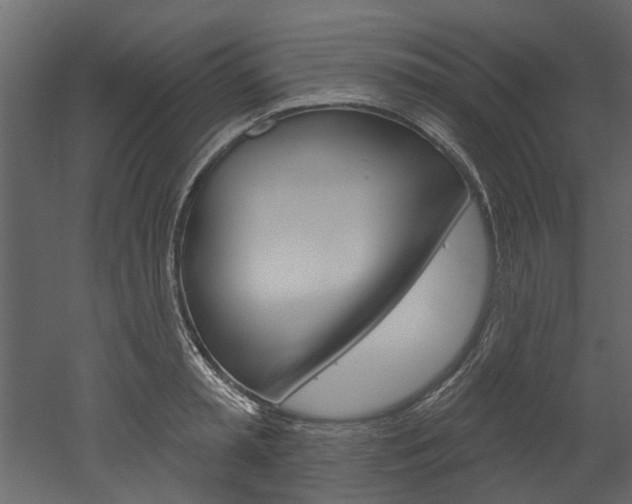 X0000052930797200507080825