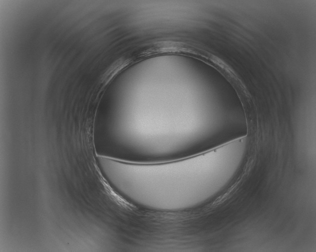 X0000052930801200507080825