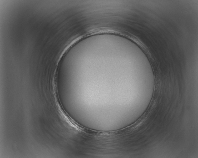 X0000052930806200507080825