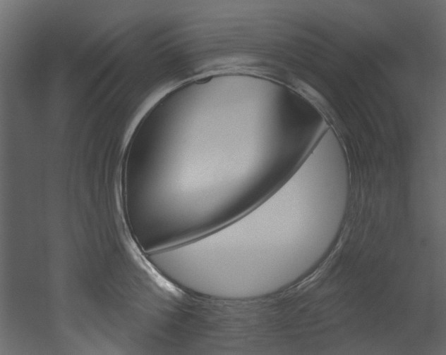 X0000052930812200507080825