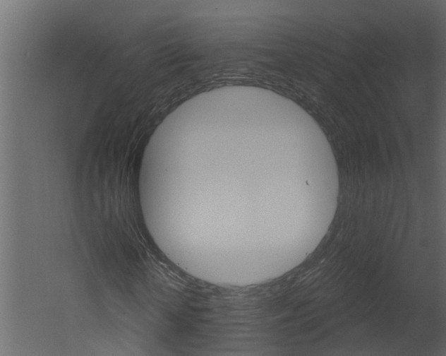 X0000052930818200507080824