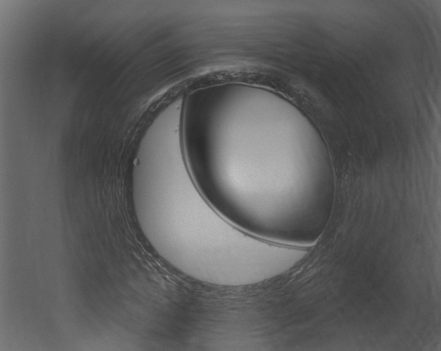 X0000052930822200507080824