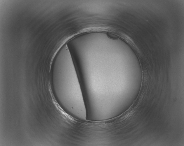 X0000052930844200507080825