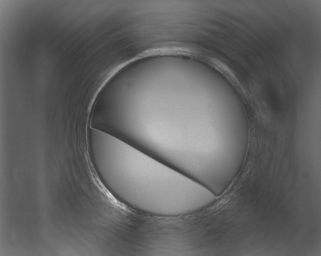 X0000052930852200507080825