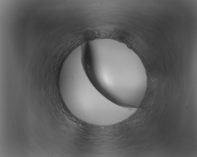 X0000052930865200507080824