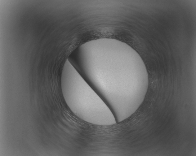 X0000052930866200507080824