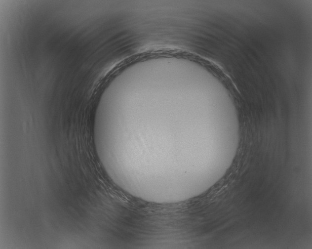 X0000052930871200507080824