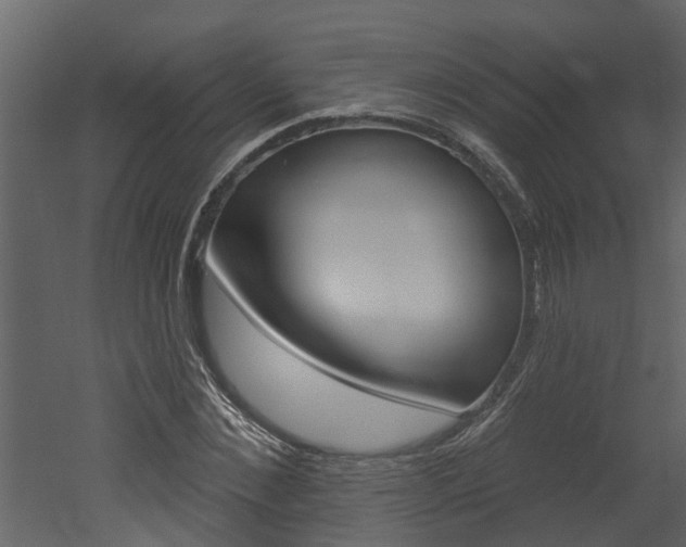 X0000052930876200507080824