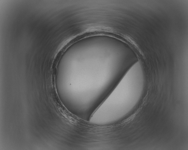 X0000052930877200507080824