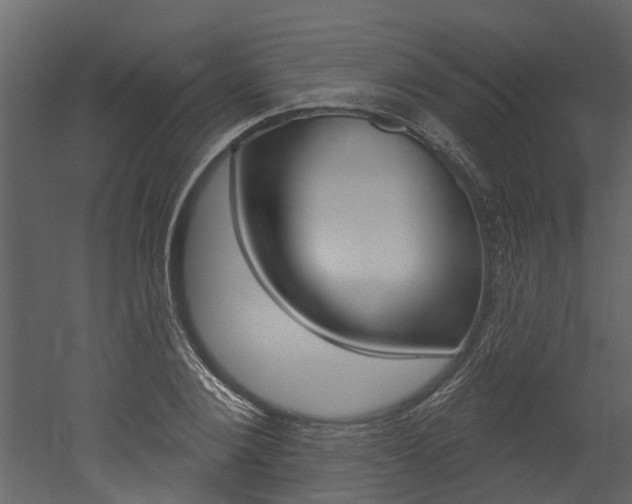 X0000052930884200507080824