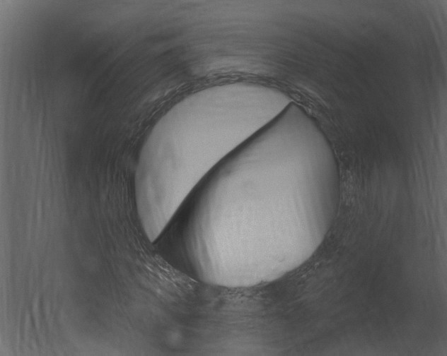 X0000052930917200507080823