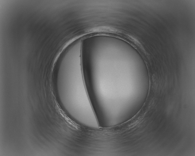 X0000052930931200507080823
