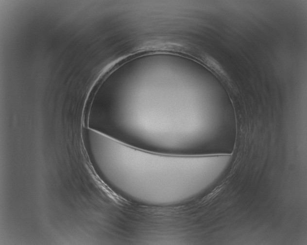 X0000052930940200507080823