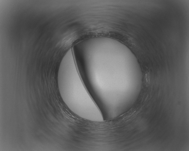 X0000052930963200507080822