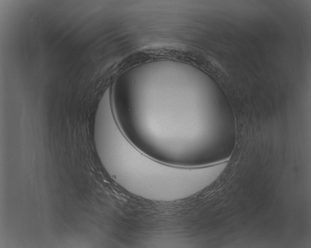 X0000052930965200507080822