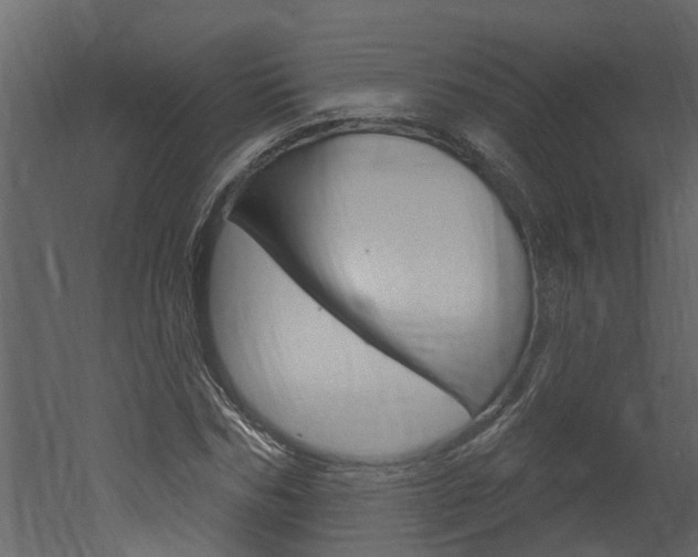 X0000052930970200507080822