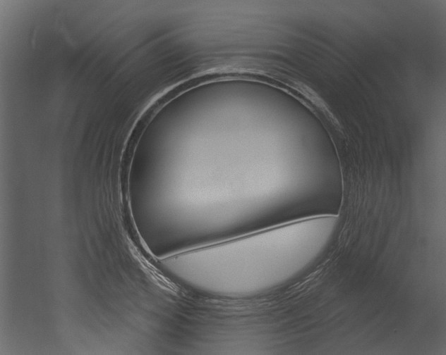 X0000052930980200507080822