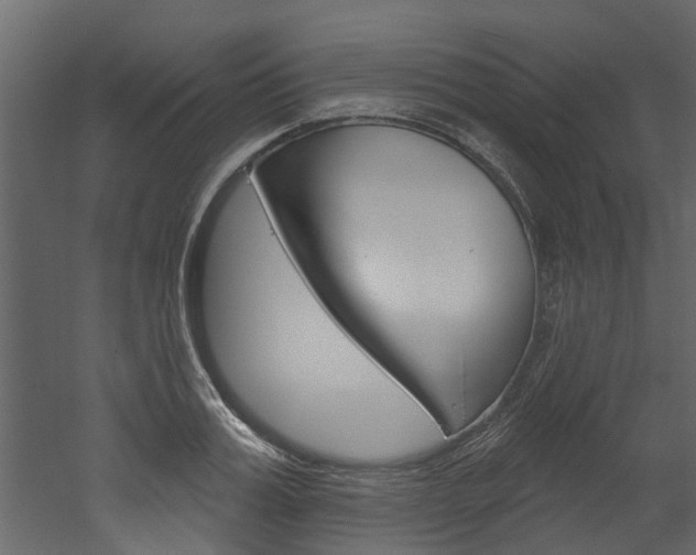 X0000052930987200507080822