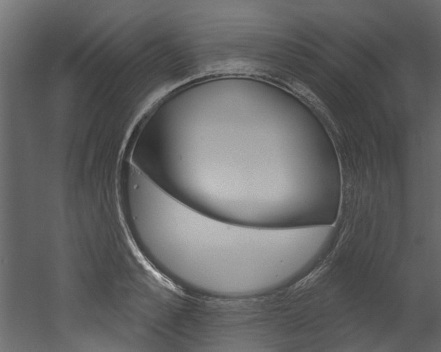 X0000052930989200507080822