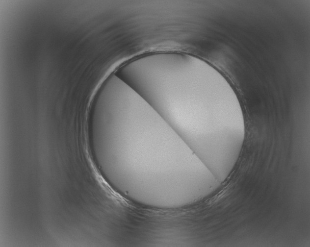 X0000052931000200507080822