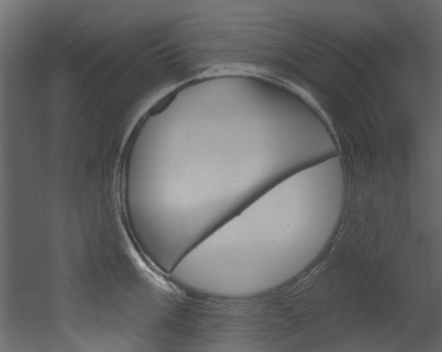 X0000052931003200507080822
