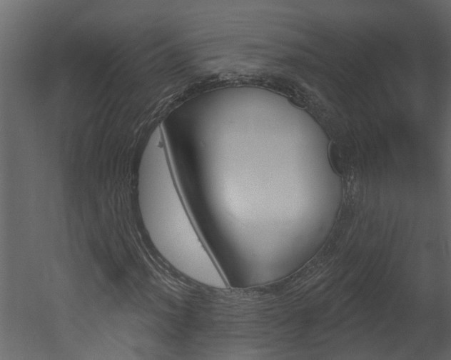 X0000052931012200507080821