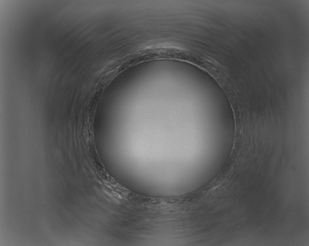 X0000052931014200507080821