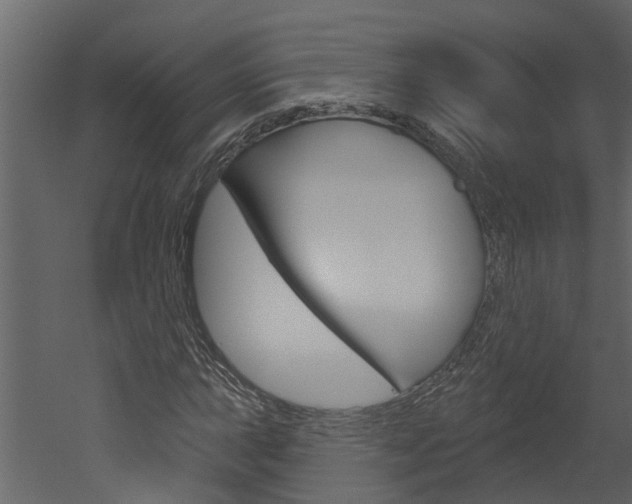 X0000052931015200507080821
