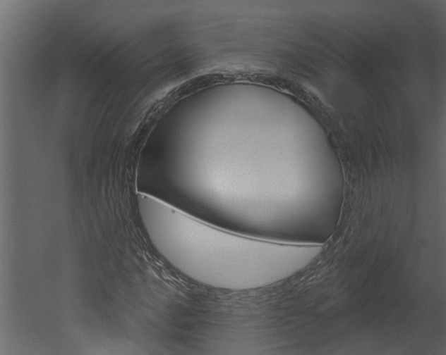 X0000052931016200507080821