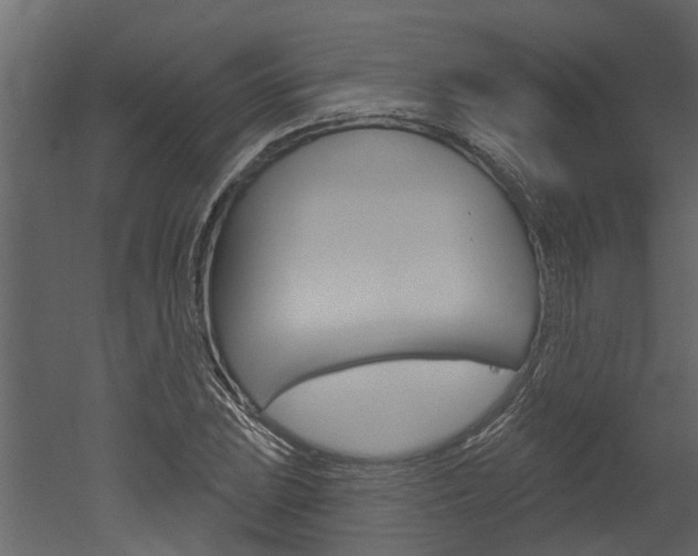 X0000052931023200507080821
