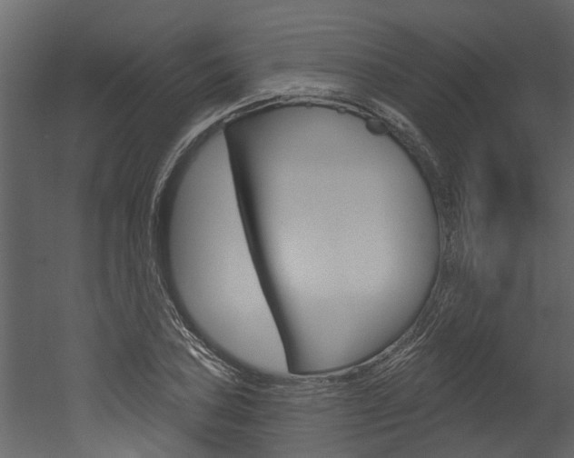 X0000052931027200507080821