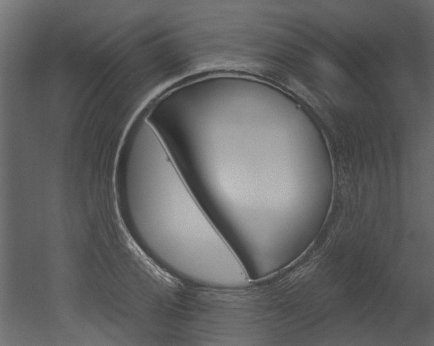 X0000052931028200507080821