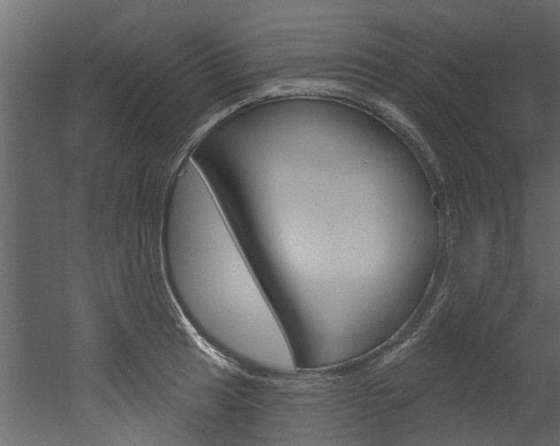 X0000052931041200507080821