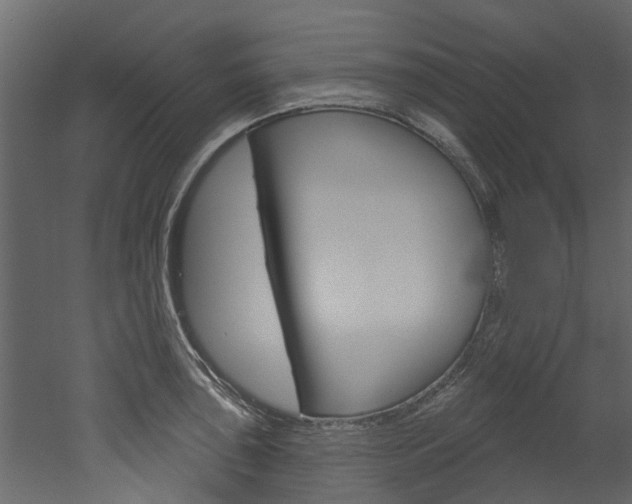 X0000052931043200507080821