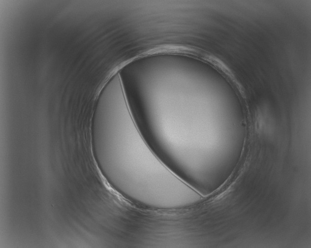 X0000052931049200507080822