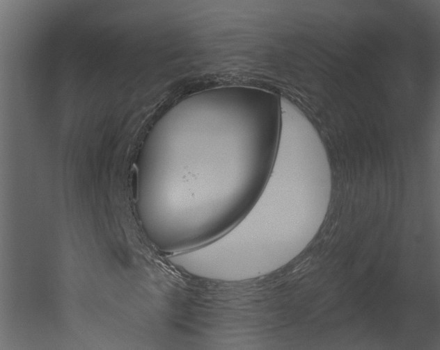 X0000052931057200507080821