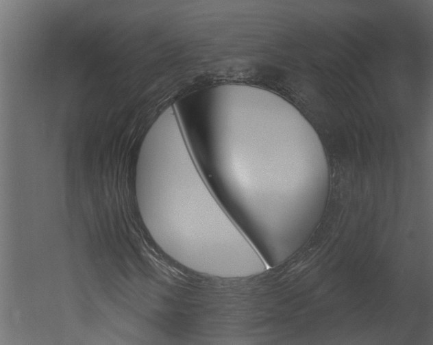 X0000052931058200507080821