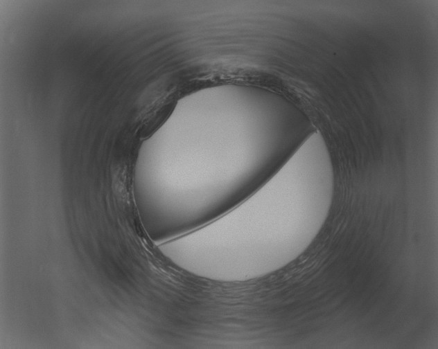 X0000052931060200507080821
