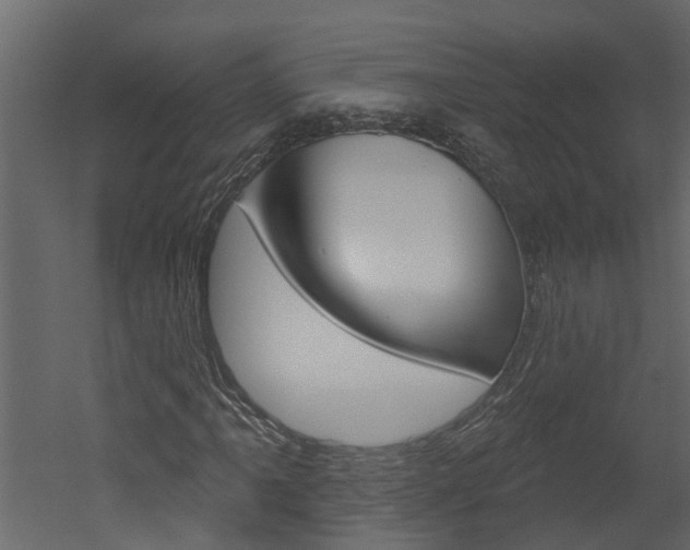 X0000052931061200507080821