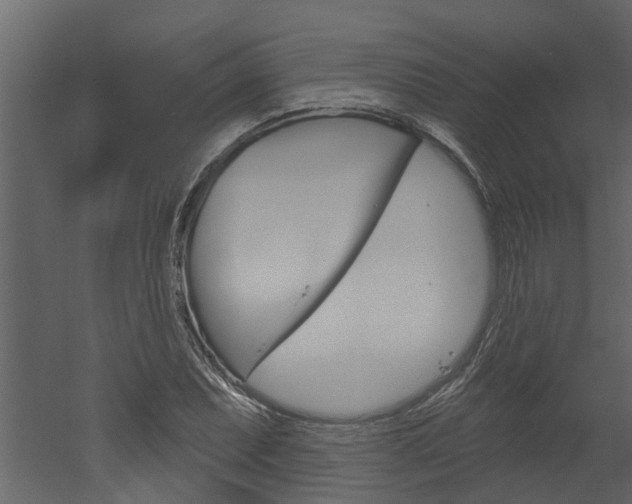 X0000052931071200507080821